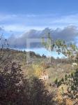 Budaörs Telek 1