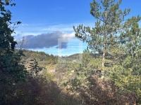 Budaörs Telek 4