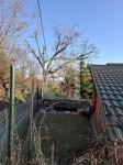 Budaörs Telek 1